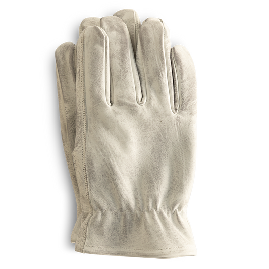Waylon Kevlar® Glove