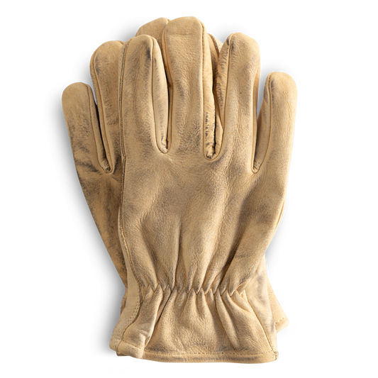 Waylon Kevlar® Glove